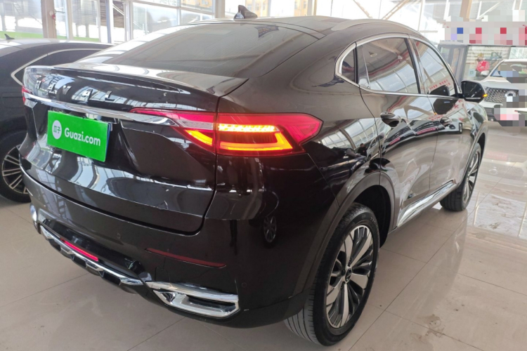 Haval F7x 2021 car image #7