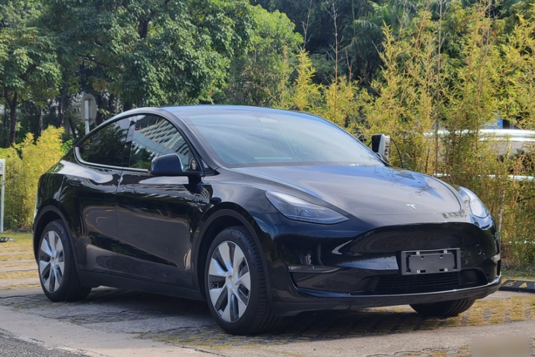 Tesla Model Y 2021 immagine di auto #7