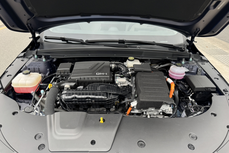 BYD Destroyer 05 2024 car image #7
