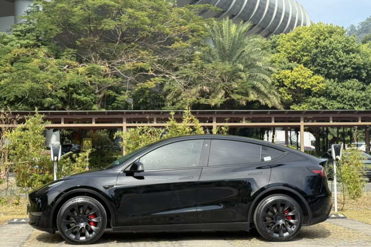 Tesla Model Y 2021 #7 Tesla Model Y 2021 car image #7