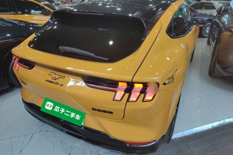 Ford Mustang Mach-E 2023 car image #7