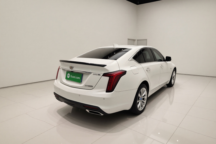 2023 #7 2023 car image #7