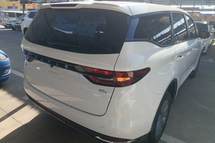 睿蓝汽车 枫叶80v 2021 汽车图片 #7