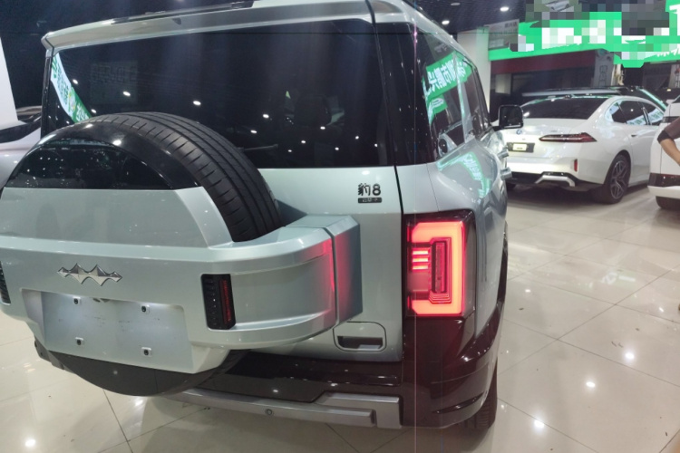 FangChengBao Leopard 8 2024 car image #7