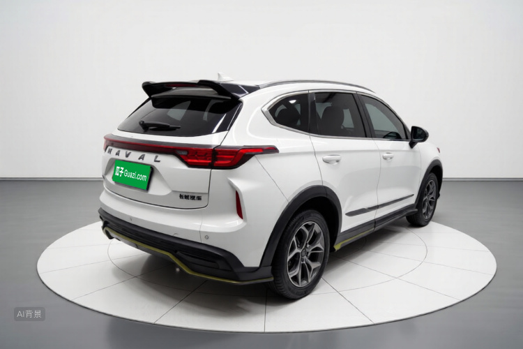 Haval Rabbit 2022 #7 Haval Rabbit 2022 صورة سيارة #7