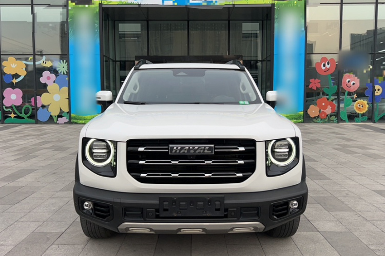 Great Wall X Dog / Dargo 2022 car image #7