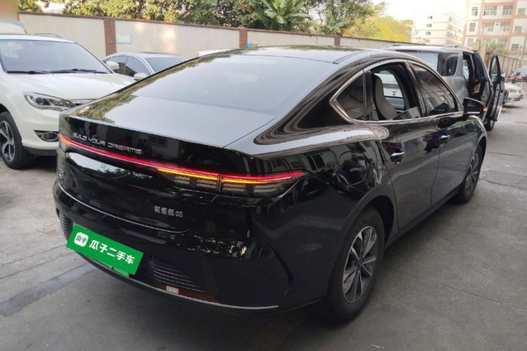 BYD Destroyer 05 2024 car image #7