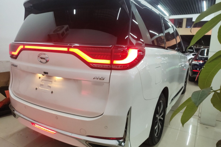 GAC Trumpchi M8 2021 #7 GAC Trumpchi M8 2021 car image #7