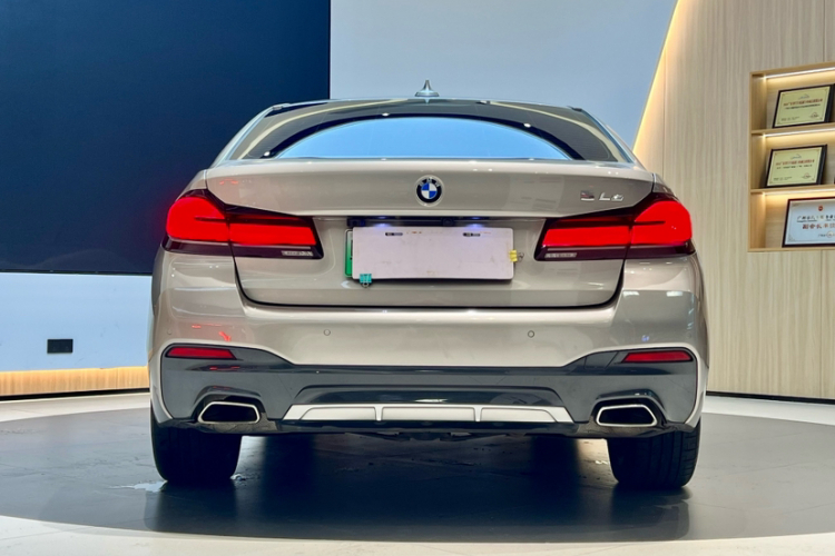 BMW 5 Series New Energy 2021 car image #7