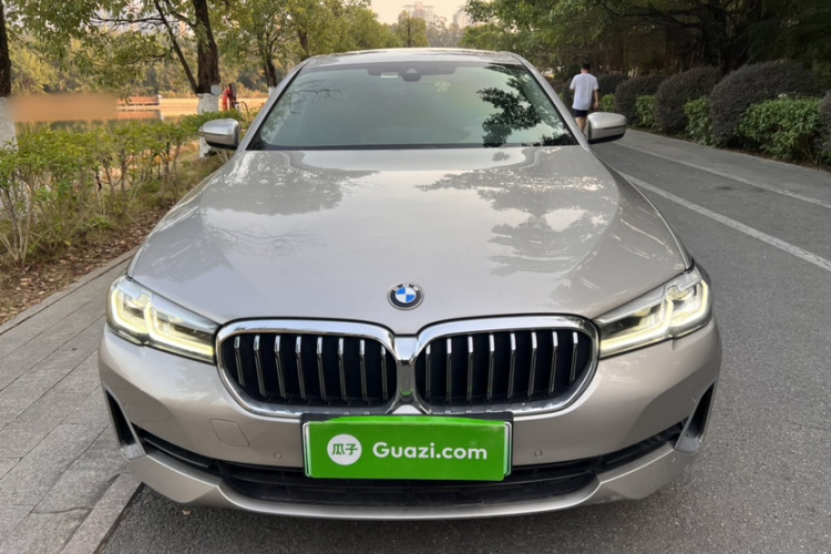 BMW 5 Series New Energy 2020 car image #7