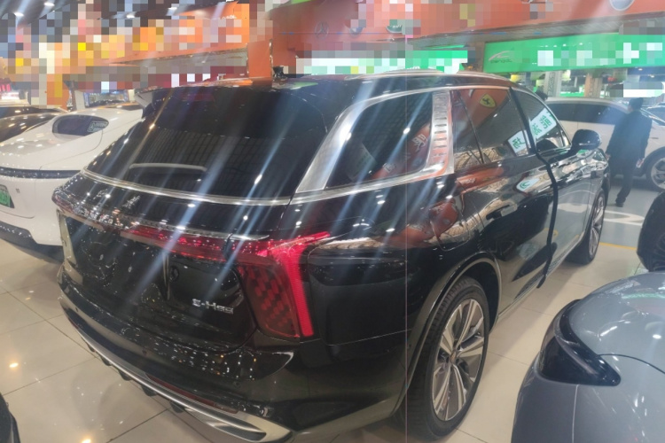 HongQi E-HS9 2021 immagine di auto #7