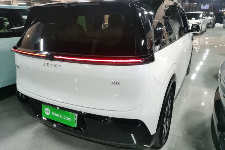 极氪 极氪MIX 2024 汽车图片 #7