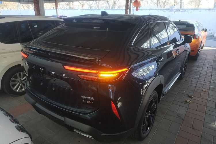 Haval H6S 2021 immagine di auto #7