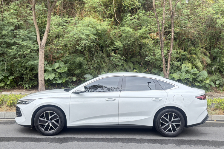 BYD Qin L 2024 #7 BYD Qin L 2024 car image #7