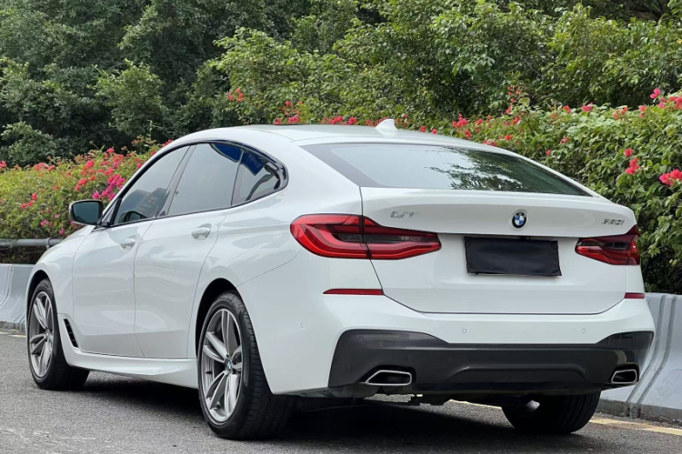 BMW 6 Series GT 2019 car image #7