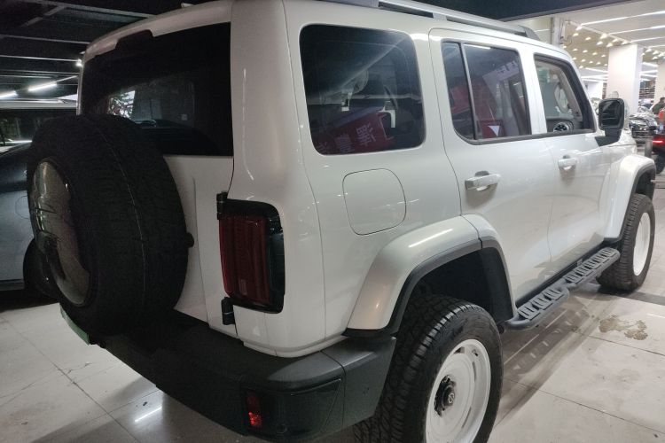 Tank 300 New Energy 2024 car image #7