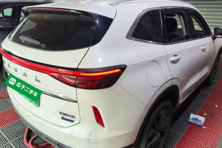 Haval H6 2022 immagine di auto #7