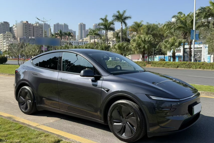Tesla Model Y 2025 car image #7