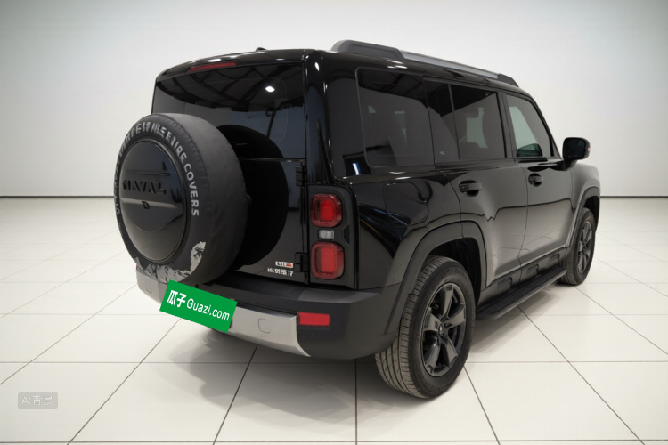 Haval Raptor New Energy 2023 car image #7