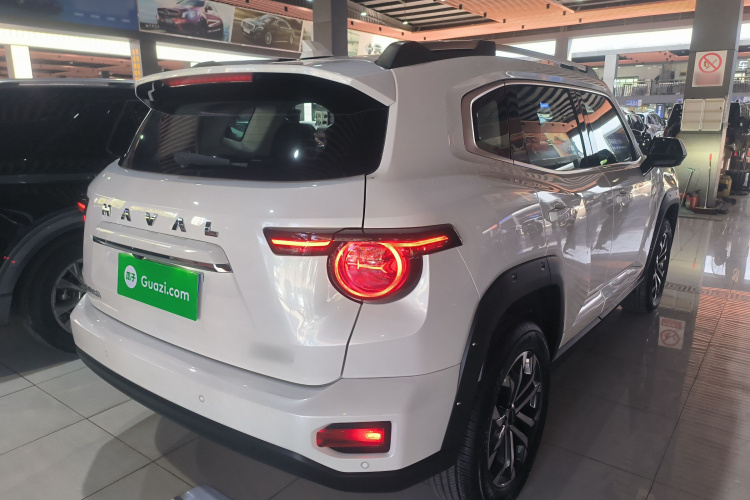 Haval Dargo 2 2023 صورة سيارة #7