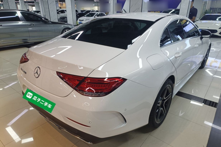 Mercedes-Benz CLS Class 2023 car image #7