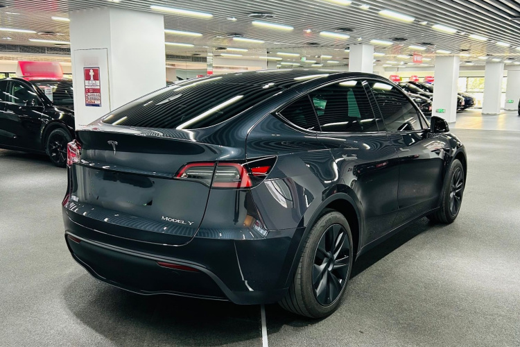 Tesla Model Y 2024 car image #7