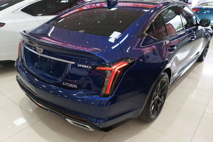 2024 immagine di auto #7