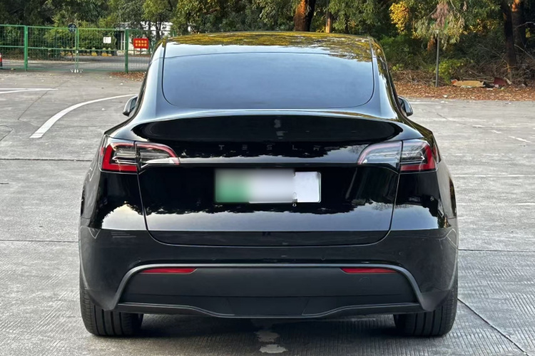 Tesla Model Y 2023 #7 Tesla Model Y 2023 car image #7