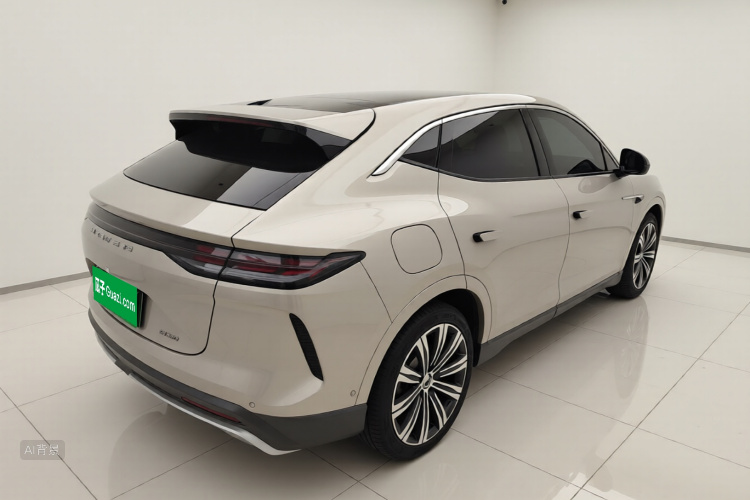 Denza 2023 car image #7