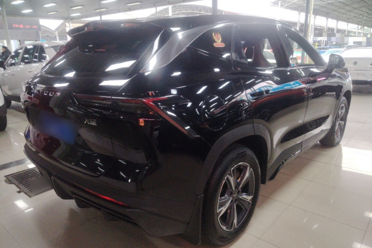 Dashing 2023 immagine di auto #7