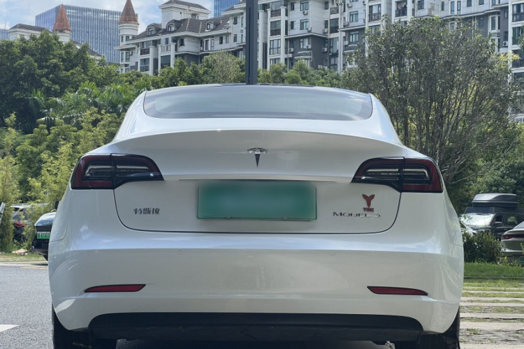 Tesla Model 3 2020 car image #7