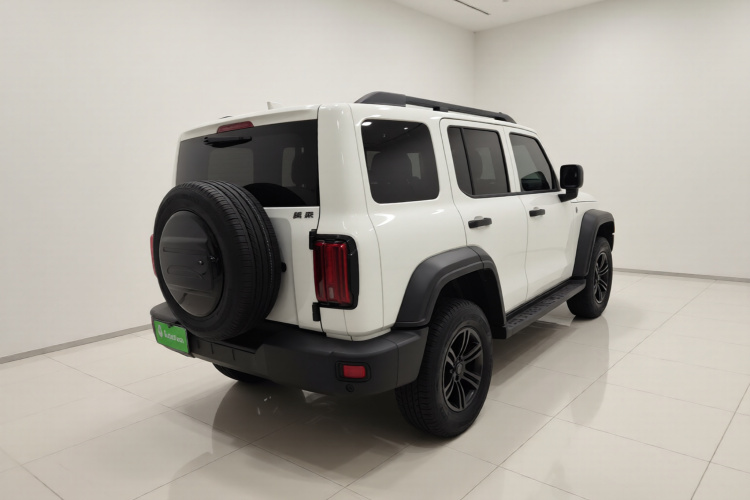 Tank 300 2021 #7 Tank 300 2021 car image #7