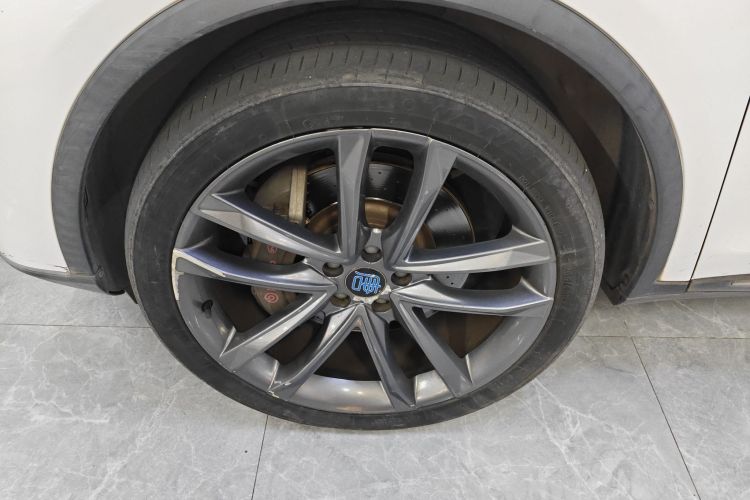 BYD Tang New Energy 2020 car image #7