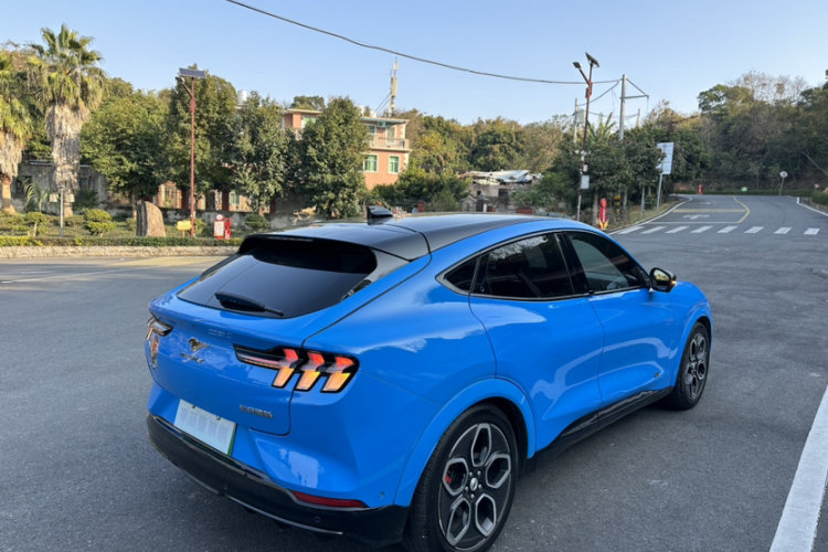 Ford Mustang Mach-E 2022 car image #7