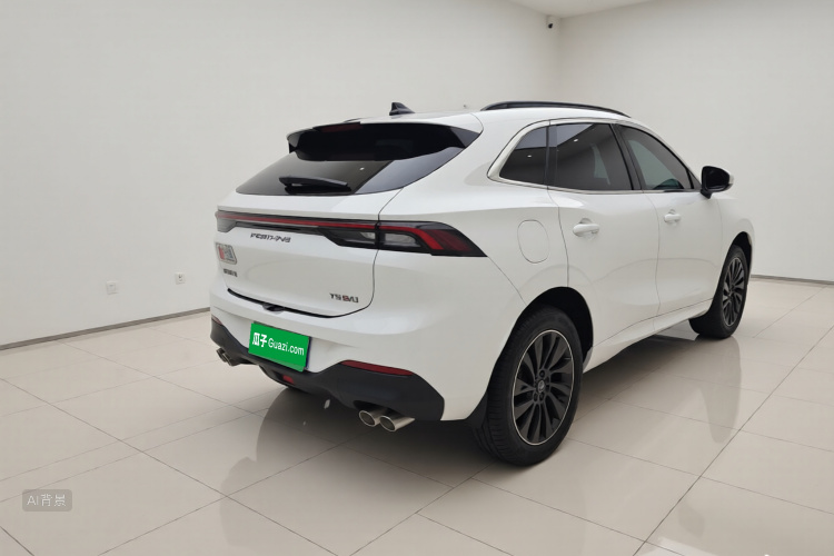 Forthing T5 EVO 2022 car image #7