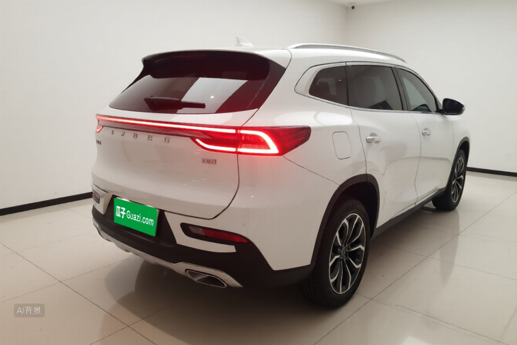 Exceed Lingyun 2019 car image #7