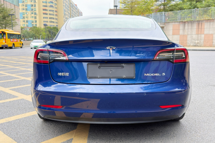 Tesla Model 3 2020 car image #7