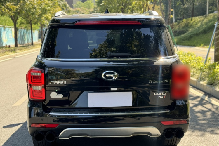 GAC Trumpchi GS8 2019 car image #7