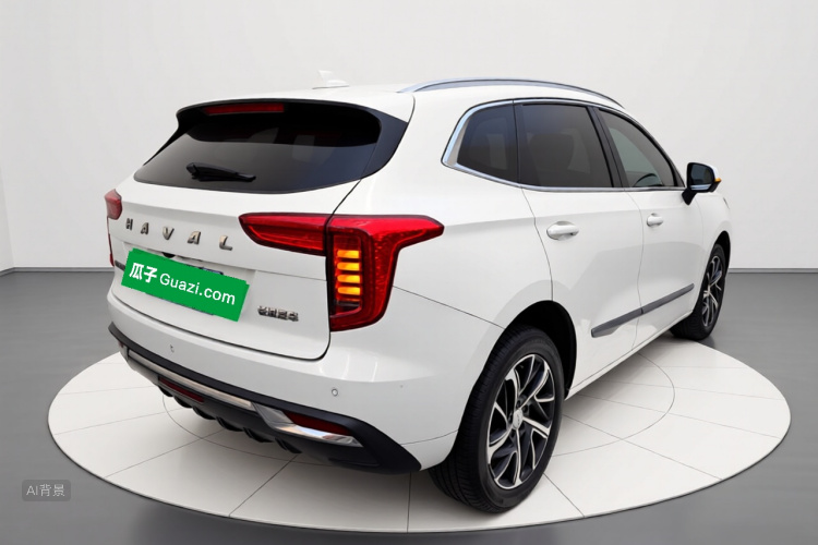 Haval Jolion 2021 car image #7