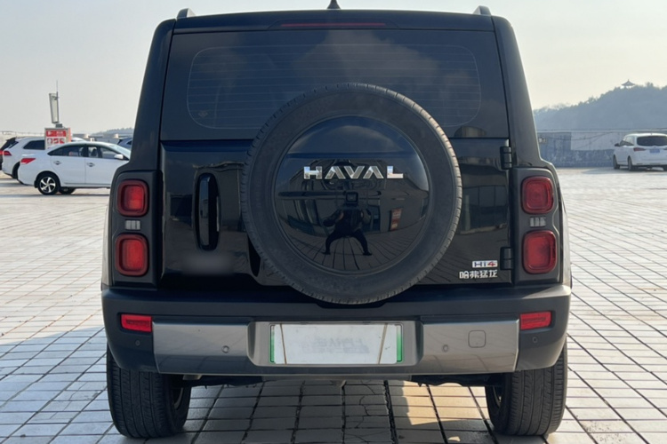 Haval Raptor New Energy 2024 car image #7