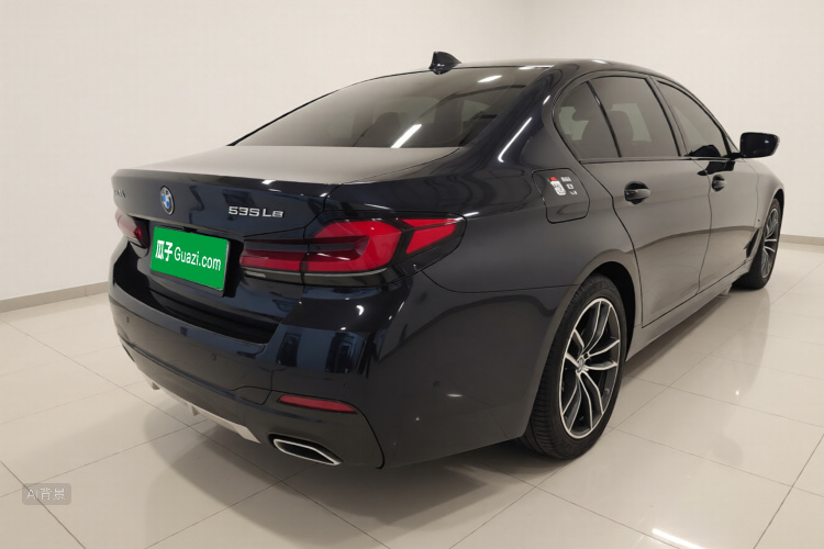 BMW 5 Series New Energy 2021 car image #7