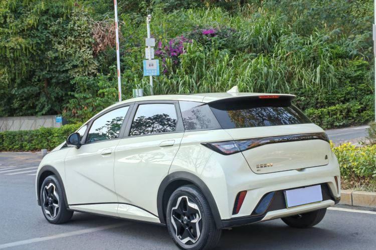 BYD Dolphin 2022 car image #7