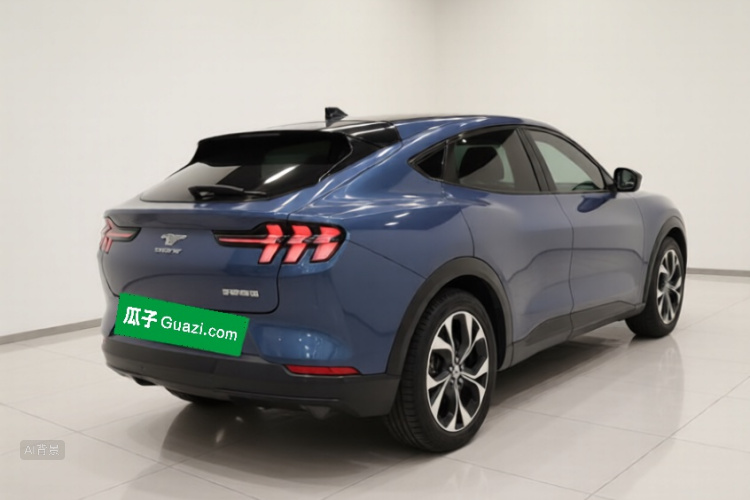 Ford Mustang Mach-E 2023 car image #7