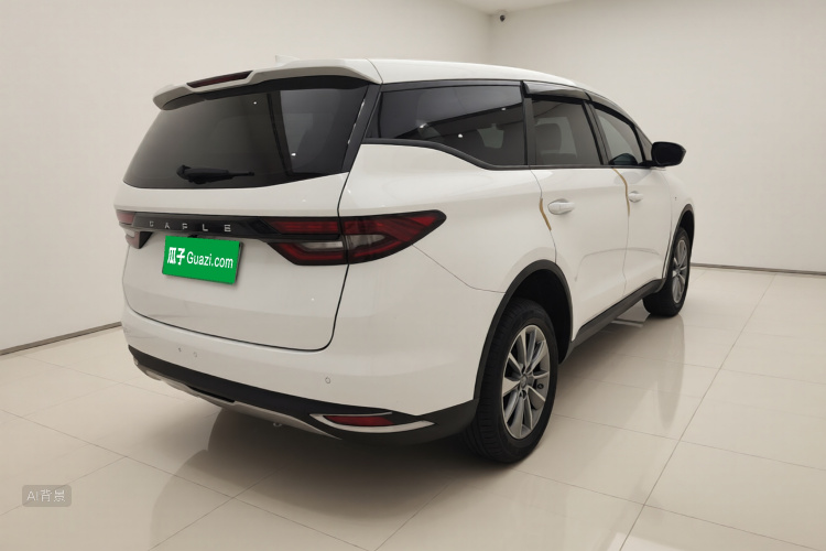 睿蓝汽车 枫叶80v 2022 汽车图片 #7