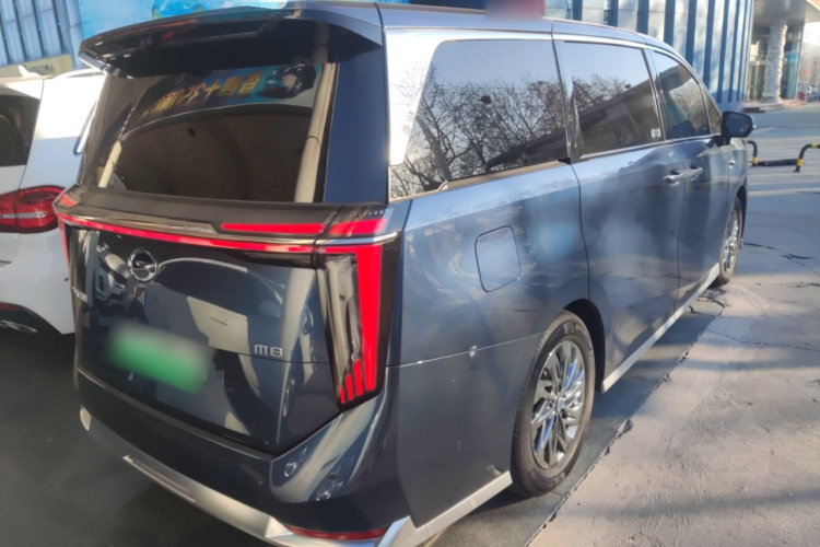 GAC Trumpchi Xiangwang M8 2025 car image #7