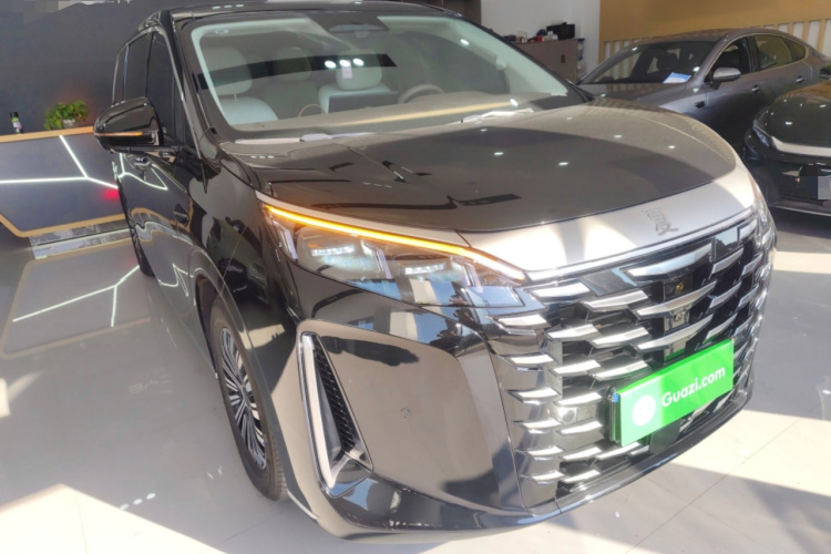 BYD Xia 2024 imagen de coche #7