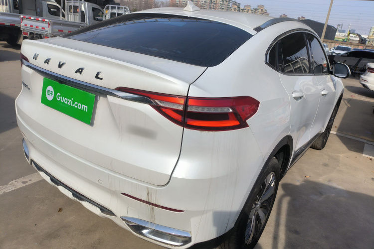 Haval F7x 2020 #7 Haval F7x 2020 car image #7