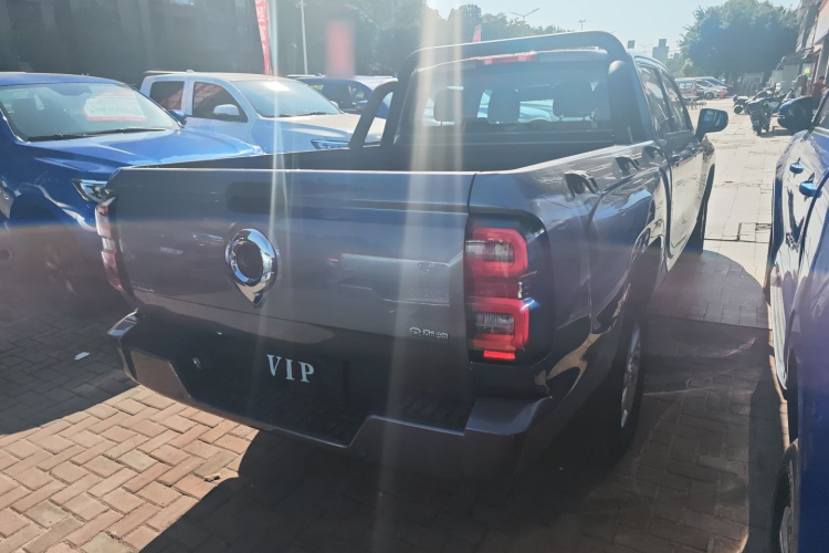 Great Wall Jingang Pao 2024 #7 Great Wall Jingang Pao 2024 car image #7