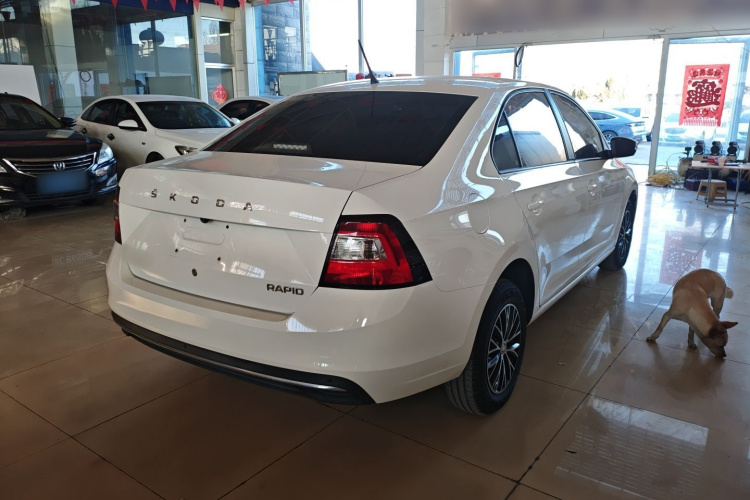 Skoda Rapid 2019 car image #7