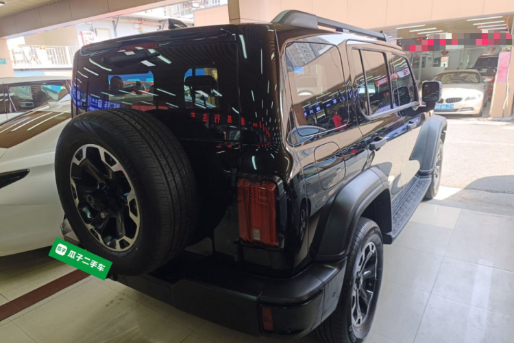 Tank 300 New Energy 2025 imagem de carro #7